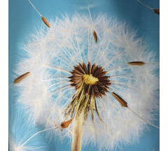 Купон 89.40 70*70